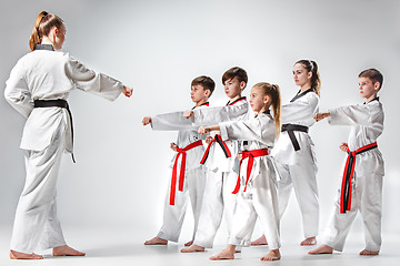 Image showing The studio shot of group of kids training karate martial arts