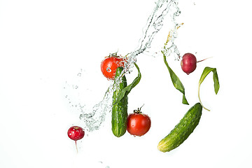 Image showing The fresh tomatos, cucumbers, radish in spray of water.