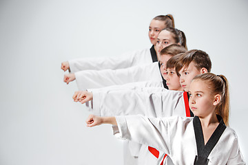 Image showing The studio shot of group of kids training karate martial arts