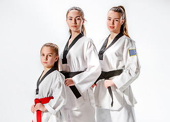 Image showing The studio shot of group of women posing as karate martial arts sportsmen