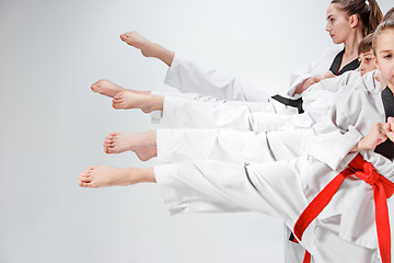 Image showing The studio shot of group of kids training karate martial arts