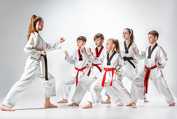 Image showing The studio shot of group of kids training karate martial arts