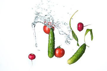 Image showing The fresh tomatos, cucumbers, radish in spray of water.