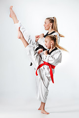 Image showing The studio shot of group of kids training karate martial arts