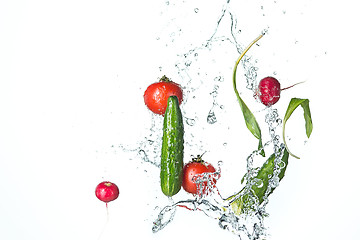 Image showing The fresh tomatos, cucumbers, radish in spray of water.