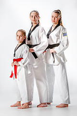 Image showing The studio shot of group of women posing as karate martial arts sportsmen