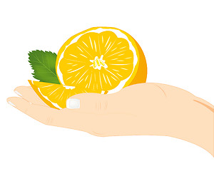 Image showing Fruit tangerine on palm