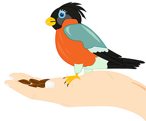 Image showing Birdie on palm of the person