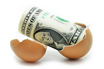 Image showing US dollar on cracked egg