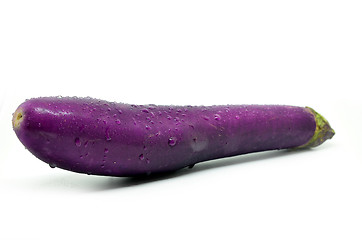 Image showing Purple eggplant with water drop