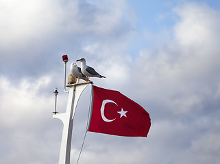 Image showing Two seagull and Turkish flag on mast