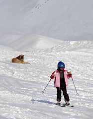 Image showing Little skier and dog on ski slope at sun winter day