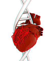 Image showing DNA and heart. 3d illustration. Anaglyph. View with red/cyan gla