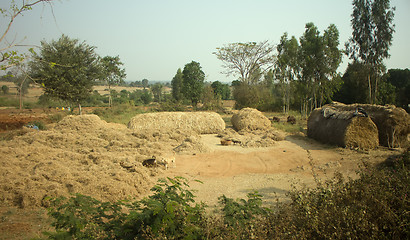 Image showing Poor Indian household (farm) 2. Andhra Pradesh, Anantapur