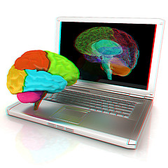 Image showing creative three-dimensional model of real human brain and scan on