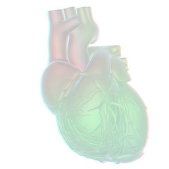 Image showing Human heart and veins. 3D illustration.. Anaglyph. View with red