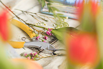 Image showing The florist desktop with working tools on white background