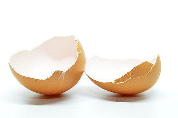 Image showing Broken egg shell
