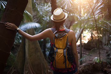 Image showing Girl in hat among palms