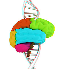 Image showing Brain and dna. 3d illustration. Anaglyph. View with red/cyan gla