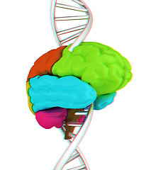 Image showing Brain and dna. 3d illustration. Anaglyph. View with red/cyan gla