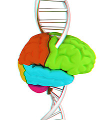 Image showing Brain and dna. 3d illustration. Anaglyph. View with red/cyan gla