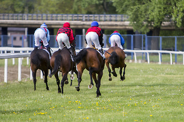 Image showing Race horses and jockeys during a race