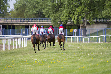 Image showing Race horses and jockeys during a race