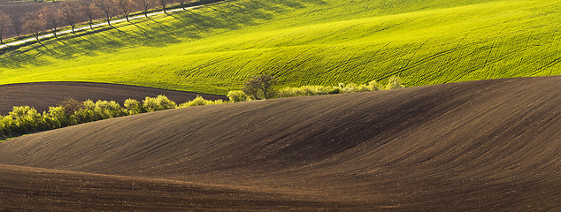 Image showing Spring landscape with field