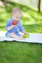 Image showing Mixed Race Infant Baby Boy Sitting on Blanket Comparing Apples t