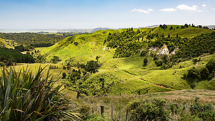 Image showing typical landscape in north New Zealand