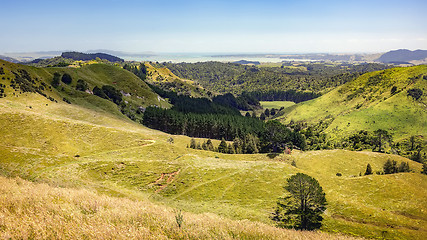 Image showing typical landscape in north New Zealand