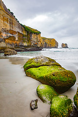 Image showing Tunnel Beach New Zealand