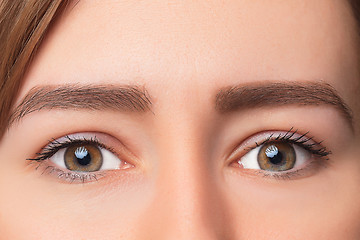 Image showing Closeup shot of woman eye with day makeup