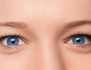 Image showing Closeup shot of woman eye with day makeup