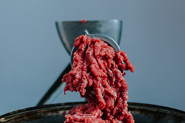 Image showing Meat in mincing machine