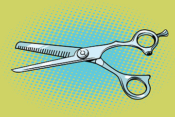 Image showing Metal Barber scissors