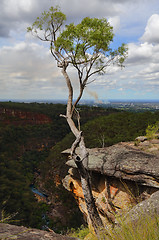 Image showing Glenbrook Gorge Australia