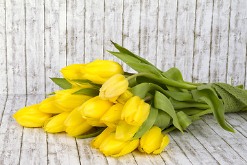 Image showing Beautiful yellow tulips