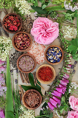 Image showing Alternative Medicine Selection