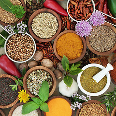 Image showing Spice and Herb Seasoning