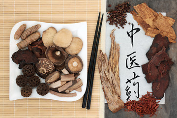 Image showing Chinese Herbal Medicine