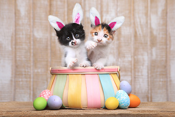 Image showing Cute Pair of Kittens Inside an Easter Basket