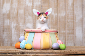 Image showing Adorable Kitten Inside an Easter Basket Wearing Bunny Ears