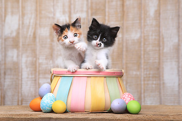 Image showing Cute Pair of Kittens Inside an Easter Basket