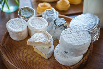 Image showing Set of different cheese
