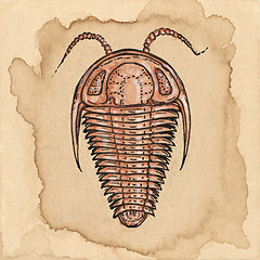 Image showing Trilobite drawing