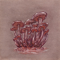 Image showing Fantasy mushrooms cluster