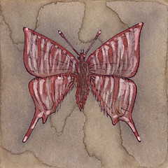 Image showing Fantasy butterfly