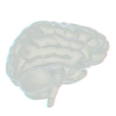 Image showing 3D illustration of human brain. Anaglyph. View with red/cyan gla